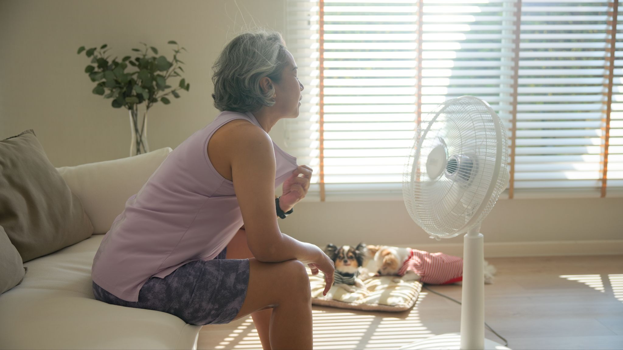 Symptoms of Perimenopause Singapore